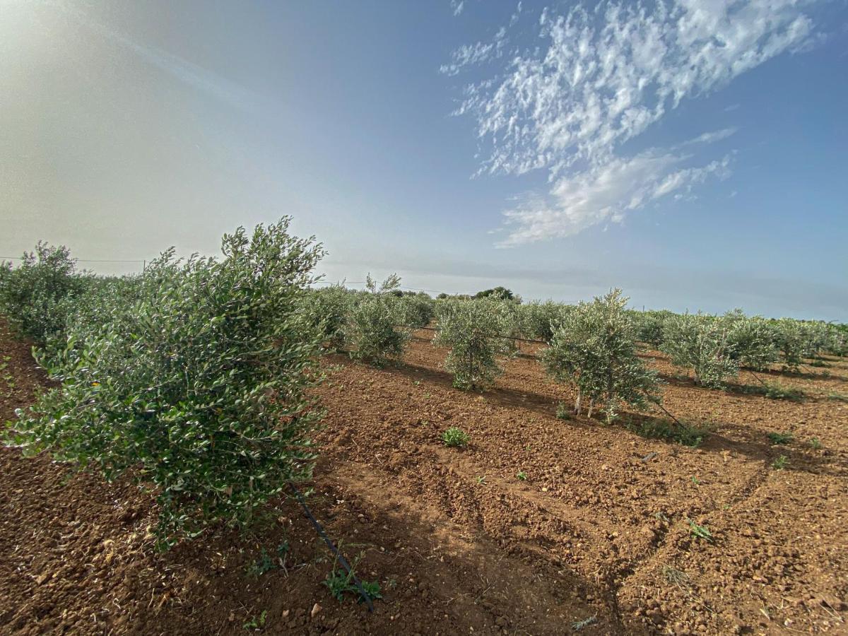 Podere Carafa Villa Nardò Екстериор снимка